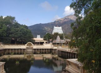 तिरुवन्नमलई में अरुणाचलेश्वर मंदिर और पर्वत – अग्नि लिंग अरुणाचलेश्वर मंदिर और अरुणाचलेश्वर पर्वत