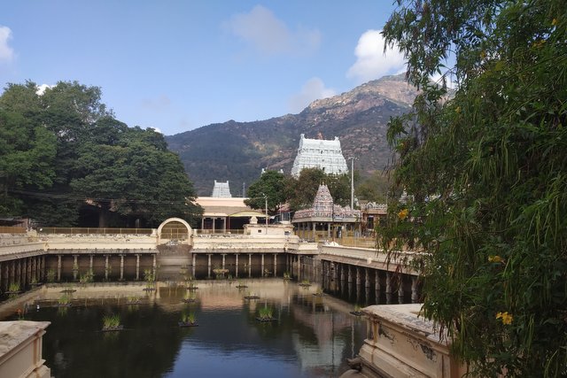 अरुणाचलेश्वर मंदिर और अरुणाचलेश्वर पर्वत 