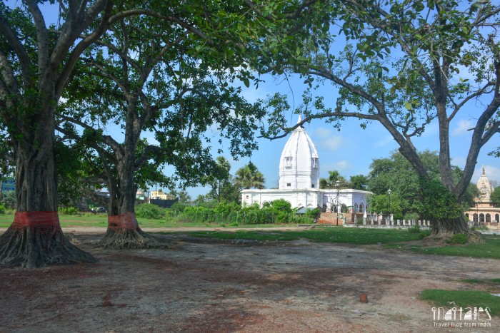 Madhweshwar Mandir Complex Darbhanga View