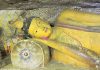 श्री लंका का दांबुला गुफा मंदिर में अप्रतिम बौद्ध प्रतिमाएं एवं भित्तिचित्र