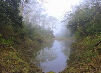 नेपाल के चितवन राष्ट्रीय उद्यान में पदभ्रमण चितवन राष्ट्रीय उद्यान की भोर