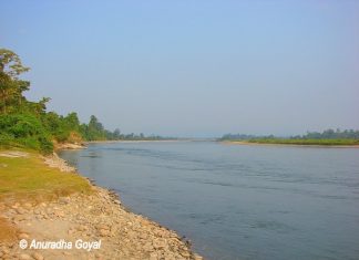 नामेरी राष्ट्रीय उद्यान और बाघ अभयारण्य, असम – भारत के राष्ट्रीय उद्यान नामेरी राष्ट्रीय उद्यान में जिया भोरोली नदी