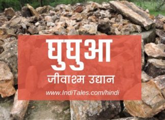 घुघुआ जीवाश्म उद्यान में भारत के प्राचीनतम निवासियों से एक भेंट घुघुआ जीवाश्म उद्यान