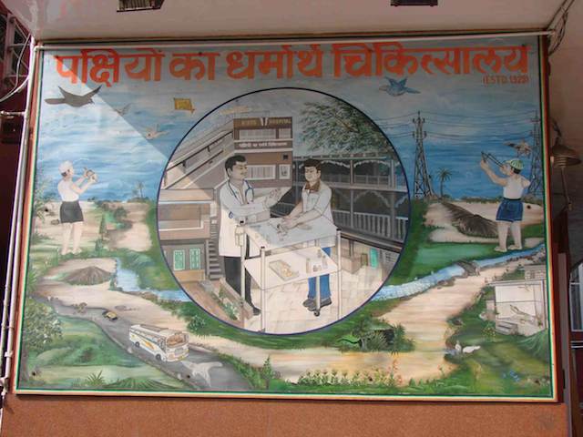 Bird Hospital at Old Delhi next to Digambar Jain Lal Mandir - Spiritual Trail at Old Delhi