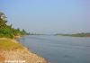 Jia Bhoroli river cris-crossing Nameri National Park