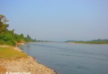 Jia Bhoroli river cris-crossing Nameri National Park