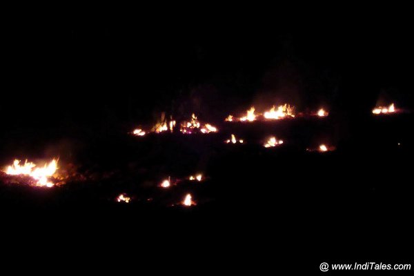 रात को जलते महुआ के जंगले 
