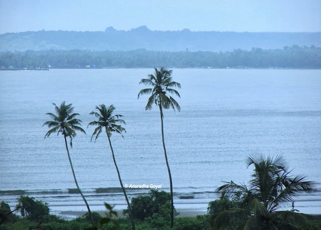 Typical view of Goa's landscape at Dona Paula