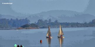 Boating in Sukhna Lake, Chandigarh