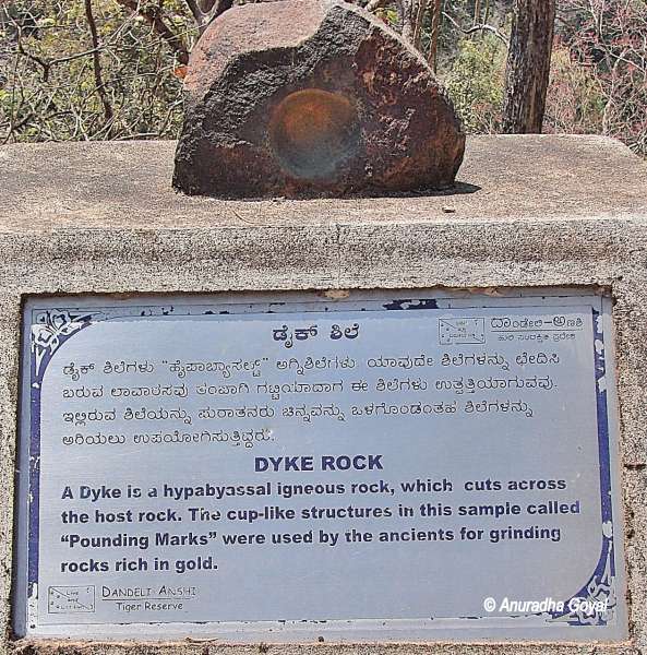 Types of rocks on display