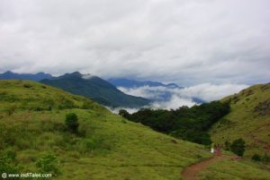 Ponmudi Hills – Southern End Of Western Ghats - Inditales