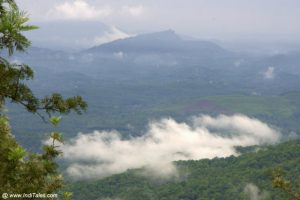 Ponmudi Hills – Southern End Of Western Ghats - Inditales