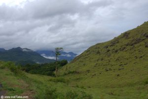 Ponmudi Hills – Southern End Of Western Ghats - Inditales