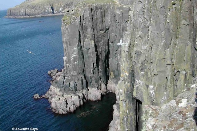 Clicking a flying bird in Scotland – Is it Worth that picture