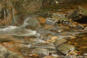 Ponmudi Hills – Southern End Of Western Ghats - Inditales