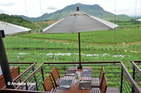 Restaurant with a view of Vineyards