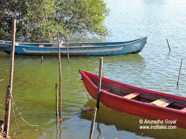 Boats on the Backwaters of the village
