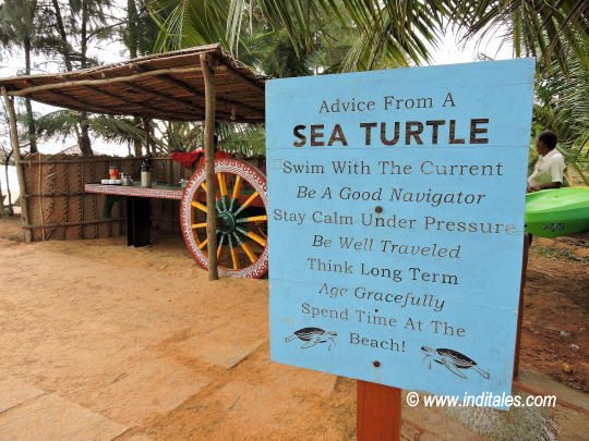 Travel advise by Sea Turtle