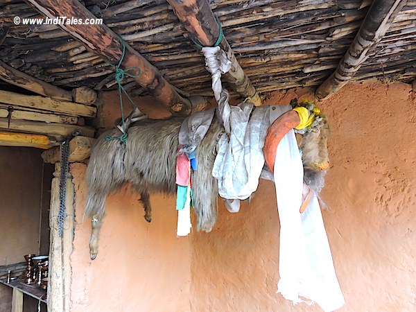 Stuffed goat hanging at Dhankar Monastery, Spiti Valley, Himachal Pradesh