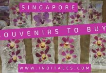 Singapore Souvenirs