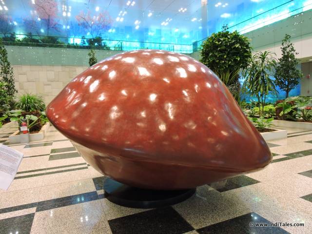 Saga Seed sculpture at Changi Airport Singapore