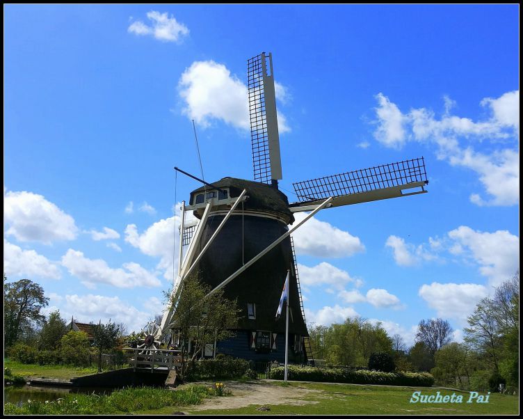 Windmills near Amsterdam