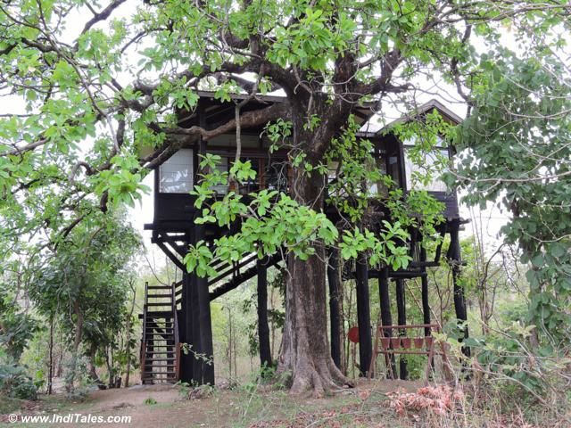 Luxury Tree House at Pench National Park