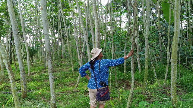 Anuradha Goyal - Javanese Village - Indonesia