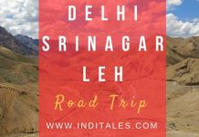 Delhi-Srinagar-Leh Road Trip