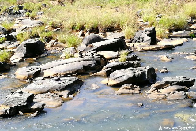 Multiple Shivalinga's in river at Sahasralinga, Sirsi