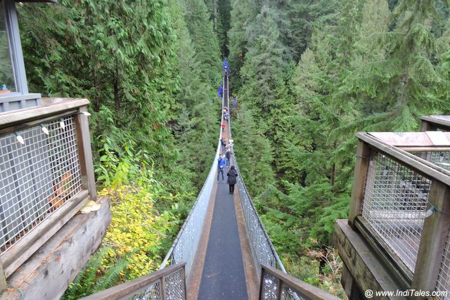 Starting point of Capilano River Suspension Bridge