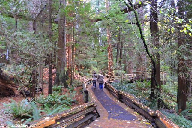 Capilano Suspension Bridge Park - Vancouver