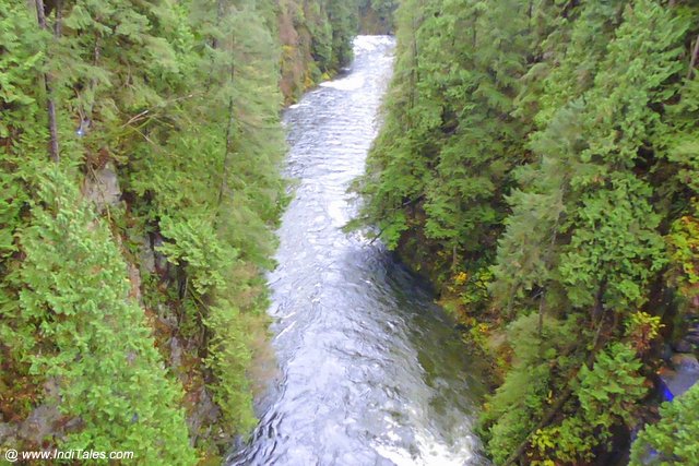 Capilano River, Vancouver BC