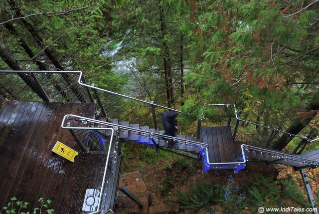 Walkway around the living forests of British Columbia