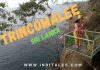 Things to do in Trincomalee Sri Lanka