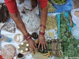 Goa’s Favorite Mapusa Market Heritage Walk Herbs being sold at the Mapusa Market