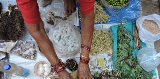 Herbs being sold at the Mapusa Market