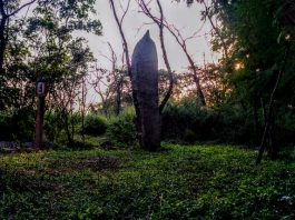 India’s Oldest Megalithic Site In Hyderabad Menhir - India's oldest Megalithic Site