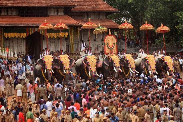 Decorated Elephants parade at Vadakkumnathan Temple Pooram festival