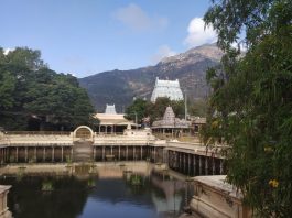 Landscape view of Arunachaleshwar Temple and the Arunachaleshwar hill