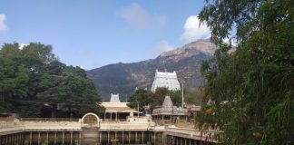 Landscape view of Arunachaleshwar Temple and the Arunachaleshwar hill