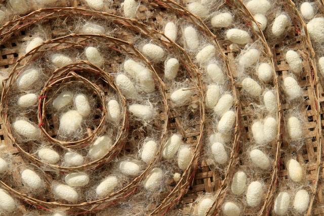 Different Types Of Silk In India An Introduction Linda Sargent